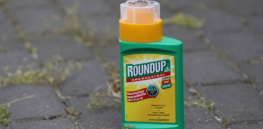 Luxembourg — the first EU country to ban glyphosate — has been ordered by a court to reauthorize the weedkiller. Here's why