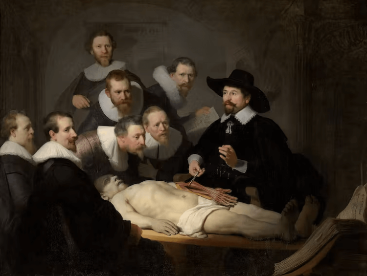 The Anatomy Lesson of Dr Nicolaes Tulp by Rembrandt (1632). The Hague