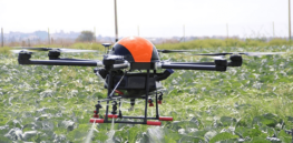 Here’s how drones can optimize harvests and save on labor