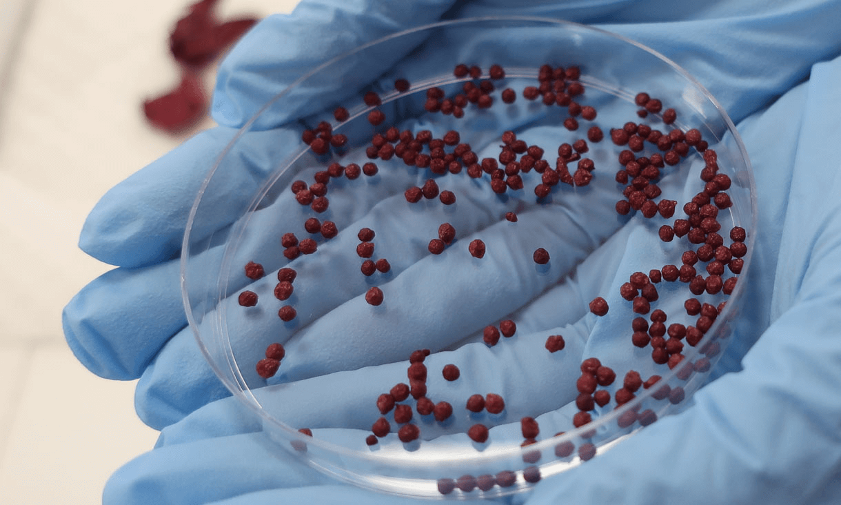 roselle beads closer px