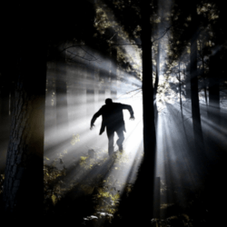 Immorality, lack of empathy, anti-social behavior: How has evolution shaped the history of psychopathological behavior