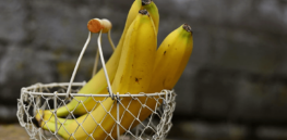 Australia slated to approve country’s first genetically modified crop: Disease-resistant bananas