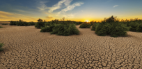 Why salt-tolerant crops could reduce massive drain on limited fresh water reserves