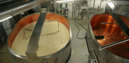 How industrial waste from cheese-making could reduce our dependence on fossil fuels