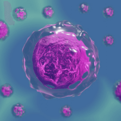 Researchers expanded the lifespan of yeast by 80% with a simple genetic tweak. Could this work in humans too?