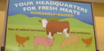 What do ‘sustainable’ and ‘humane’ food labels mean?