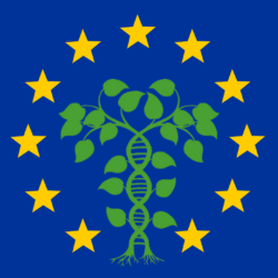 untitled design