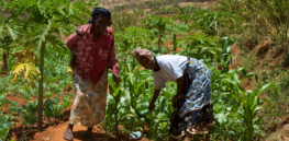 women smallholder farmers in kenya
