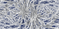 nerves cells dendrites sepia excitation