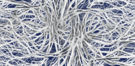 nerves cells dendrites sepia excitation