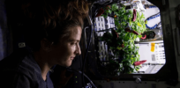 How can humans become an interplanetary species? Flies, fungi and microgreens