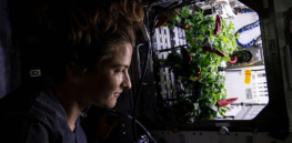 How can humans become an interplanetary species? Flies, fungi and microgreens