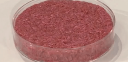Dissecting claims that lab-grown meat can meaningfully help address climate change