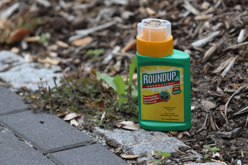 Safety of herbicide glyphosate reaffirmed by European Food Safety Authority, rejecting activist claims - Vimarsana News