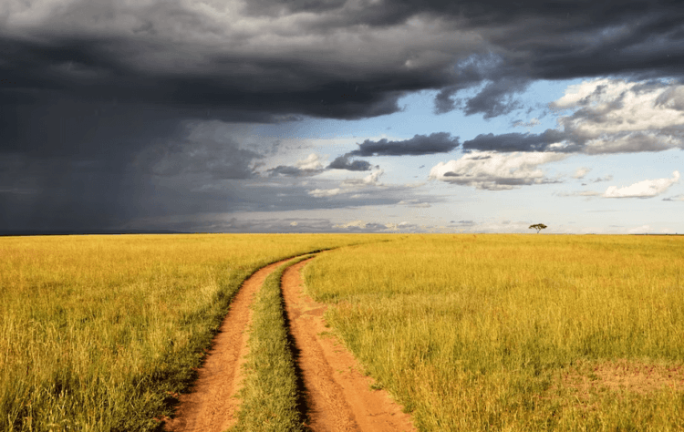 How will humans make it through climate upheavals? Here's how we've done it before - Vimarsana News