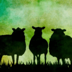 sheep silhouette vintage art