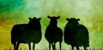 sheep silhouette vintage art