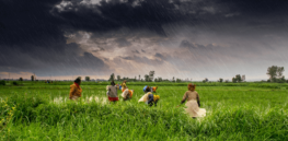 agriculture and rural farms of india