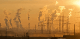 What explains Homo sapiens’ huge brains? Ancient climate change played a role
