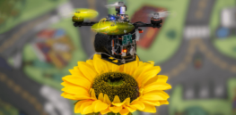 Tiny pollinating drones come to rescue of overworked bees
