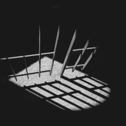 Viewpoint: ‘Using biology to understand criminal behavior has long been controversial. Top criminology programs are pursuing it anyway’
