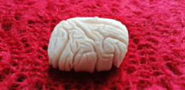 small brain