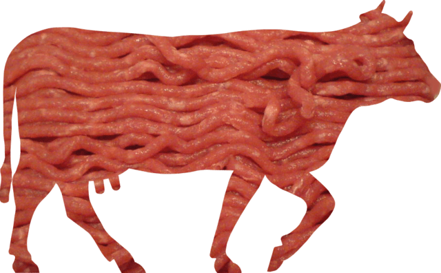 Ground beef and cattle