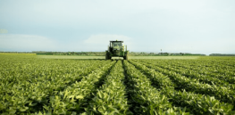Reshuffling the deck: How agro-chemical suppliers are repositioning weed-killing products
