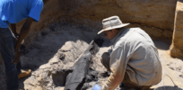 Oldest known wooden structure: Unearthed 480,000-year-old interlocking logs found in Zambia suggest early hominids had advanced technical skills