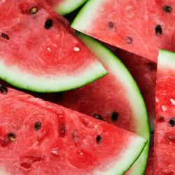 watermelon seed slice nature