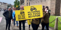 Viewpoint: 15 explanations for why activists lie and try to scare people about ‘killer’ chemicals, genetically engineered crops and nuclear energy