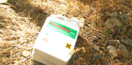 empty glyphosate herbolex container discarded in corfu olive grove
