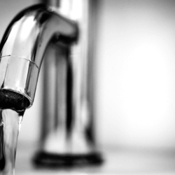 tap water