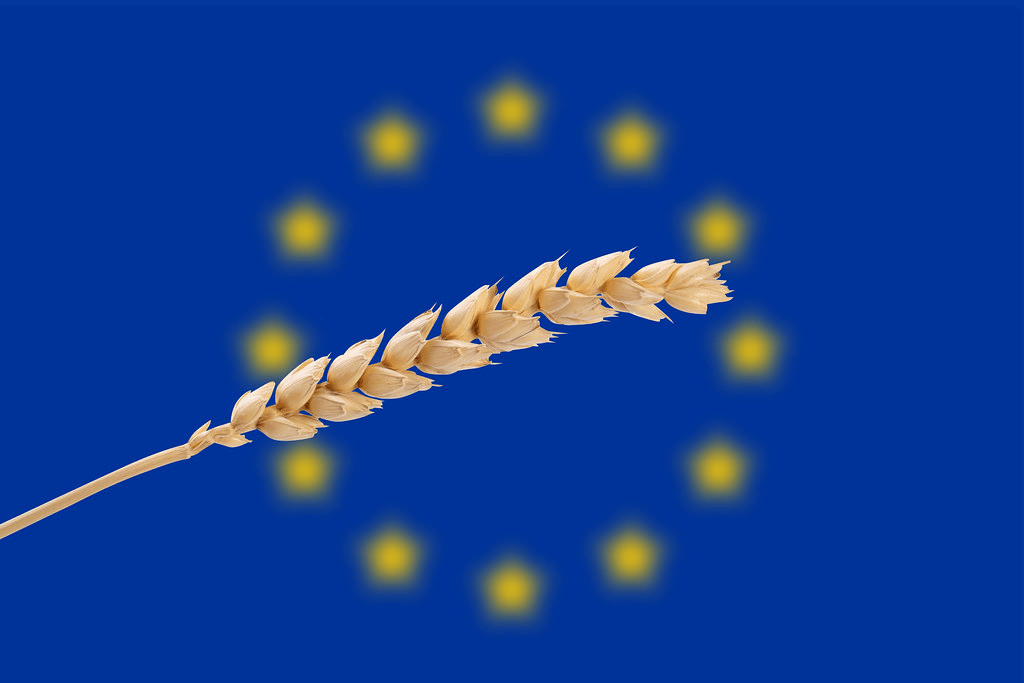 De Belgische Volksgezondheidsraad steunt de veiligheid en werkzaamheid van genetisch gemodificeerde gewassen en dringt aan op goedkeuring door de Europese Unie