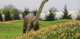 dinosaur jurassic park flowering field ca