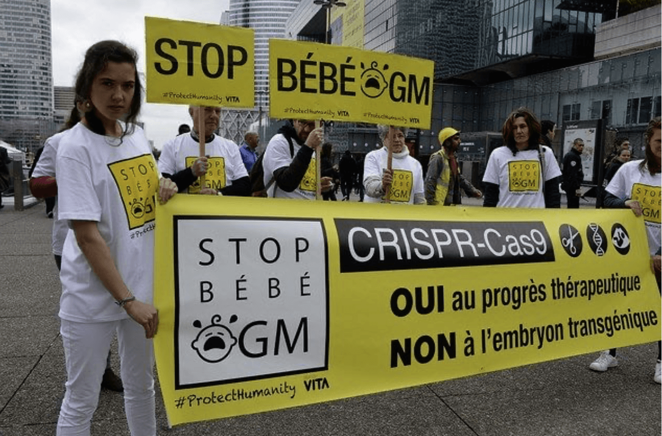 What may delay or derail the European Union’s proposed deregulation of gene-edited crops? Is there room for compromise with organic opponents?