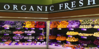 organic organic food food healthy preview