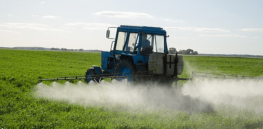 Viewpoint: Why a glyphosate ban would lead to use of ineffective and more toxic alternatives