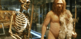 Sensitivity to pain may be linked to our inherited Neanderthal genes