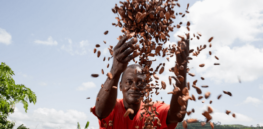 Viewpoint: Sustainable food and biotechnology innovations are cornerstones of global food security threatened by armed conflict