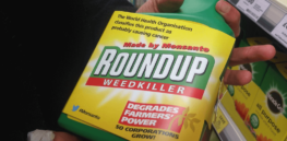 Viewpoint: Anti-glyphosate rabbit hole — Will the ethically-compromised International Agency for Cancer (IARC) lead Europe to embrace a scientifically-challenged Green Deal?