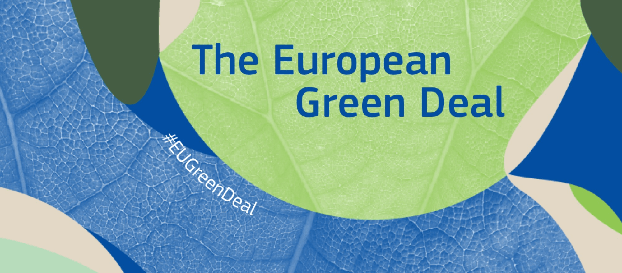 Reckoning for European Green Deal ‘Farm to Fork’ strategy: EU lawmakers ...