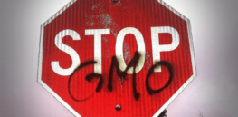 Viewpoint: Breaking taboos or pioneering breakthroughs? Weighing the ethics of gene editing of human embryos