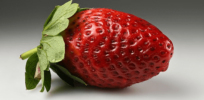 CRISPR-created strawberries that stay firmer and fresher longer could revolutionize fruit industry