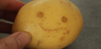 Argentina on cusp of releasing first genetically modified non-browning potato in Latin America