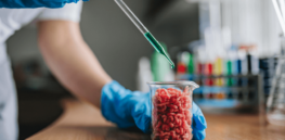 ‘Gastronomic dreams of astronomical proportions’: Collaboration between government and companies key to producing cell-based meat at scale