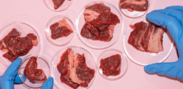 lab grown meat research kelly schultz lehighuniversity main