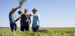 wide open agriculture maz ben stuart lupin field close up three people holding up and looking at plant in field scaled