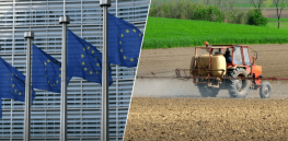 aktuelle meldung image landwirtschaft pestizide c guillaume perigois unsplash und trakor fotolia x