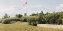 free photo of a canadian flag flying over a grassy field